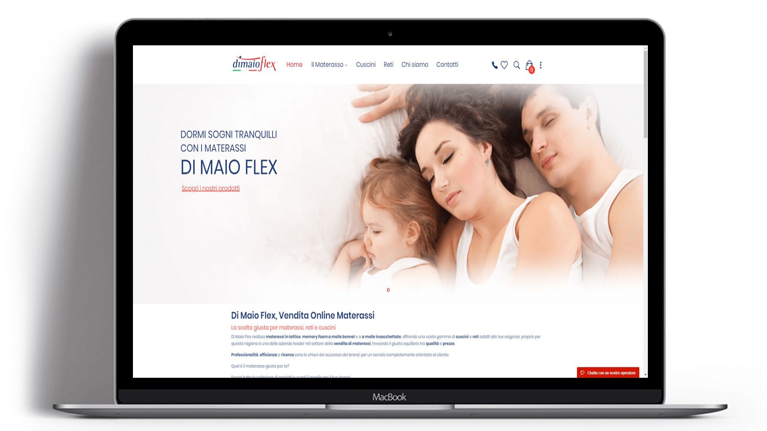 Syria Web Portfolio - Di Maio Flex